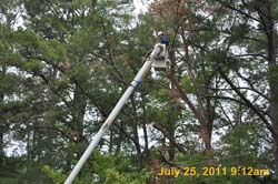 Entergy 045